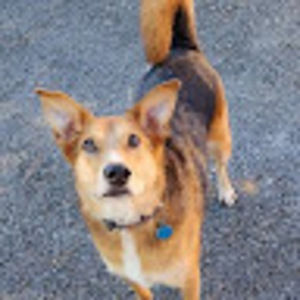 Meet your Posher, Dae